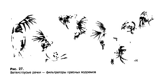 0901-19.jpg