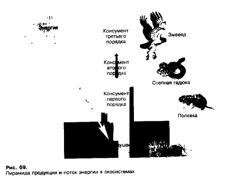 1001-28.jpg