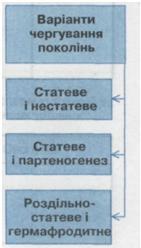 Чергування поколінь