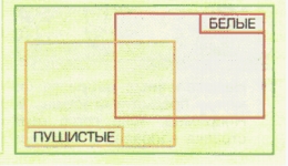 Схема множеств