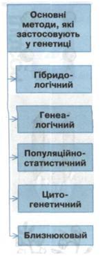 Методи генетики