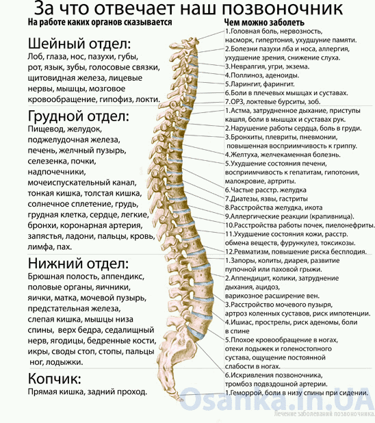 болезни возникающие при неправильной осанке