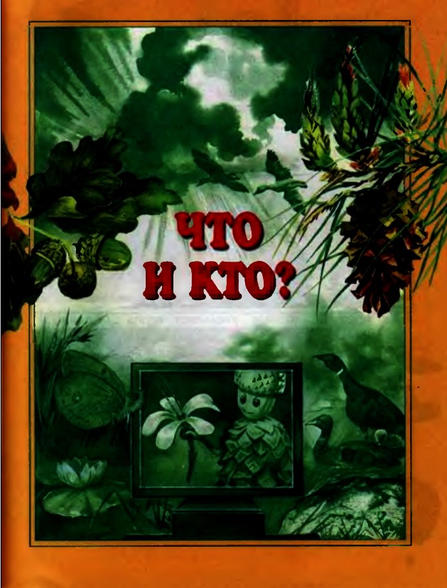 Что и кто