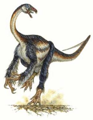 Adinosaur12.jpg