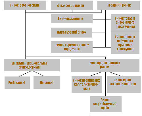 Види ринків у ринковій економіці