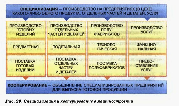 специализация и кооперирование машиностроения