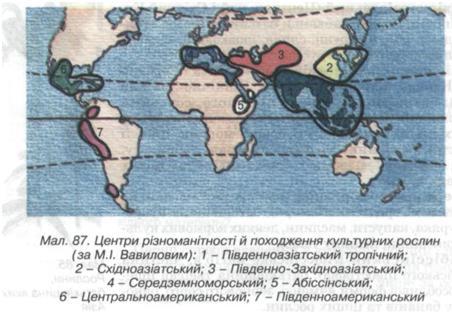 Центри походження рослин