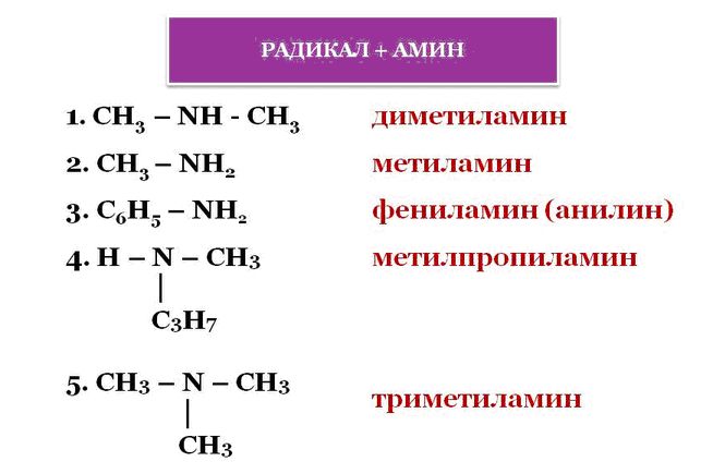 амины