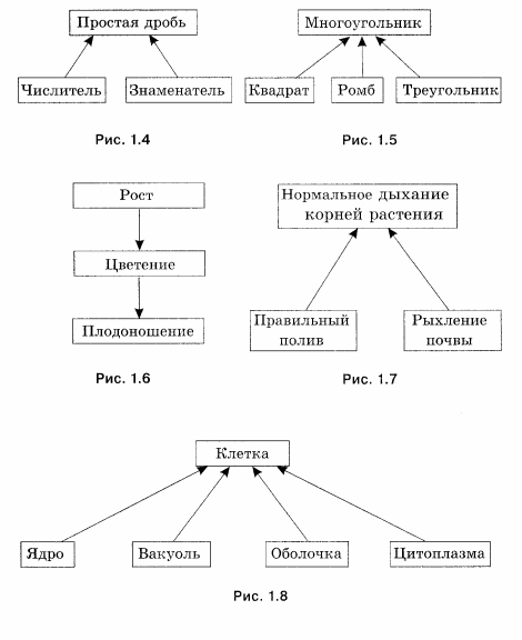 Какую связь отражает каждая схема отношений