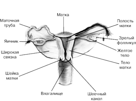 1 bio 9 2.jpg