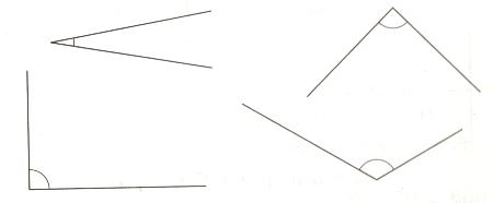 560.jpg