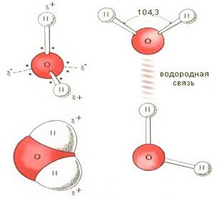 Структура молекули води