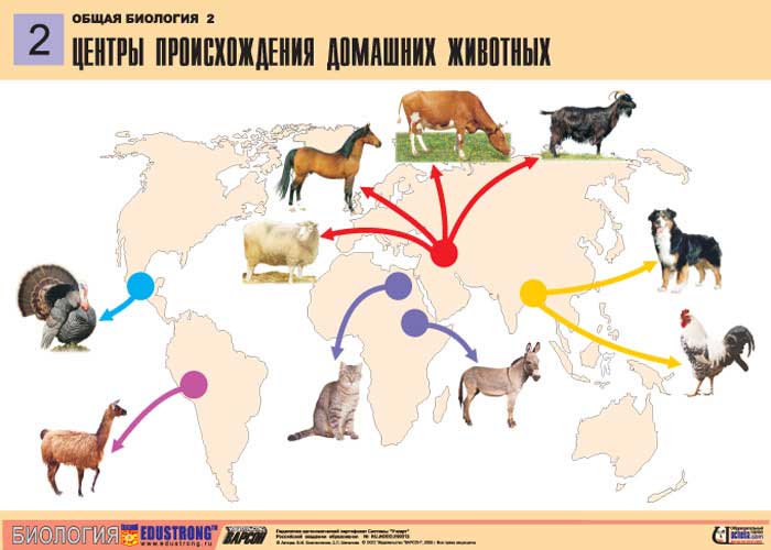 Рис. 100. Центры происхождения домашних животных