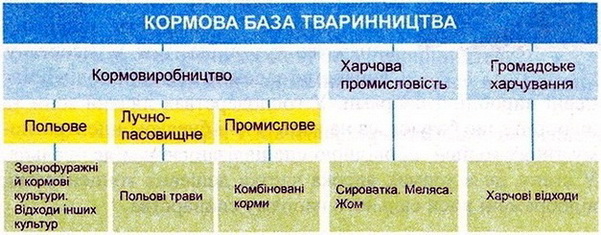 Склад кормової бази тваринництва