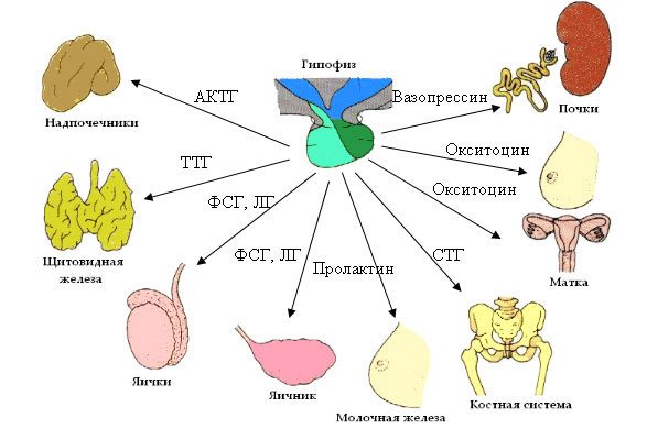 Bior8 59 7.jpg