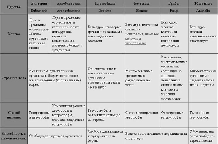 Деякі риси царств живої природи