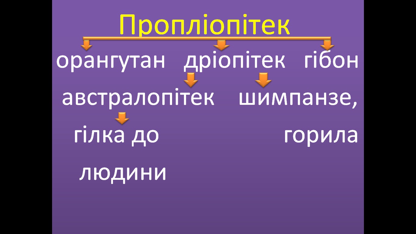 пропліопітек (схема)