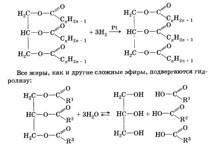 Сложные эфиры. Жиры