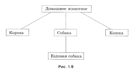 Разновидности объектов и их классификация