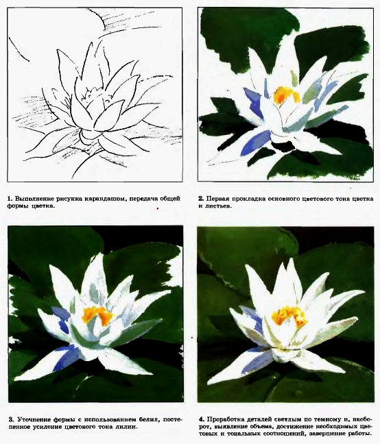 1. Выполнение рисунка карандашом, передача общей формы цветка. 2. Первая прокладка основного цветового тона цветка и листьев. 3. Уточнение формы с использованием белил, постепенное усиление цветового тона лилии. 4. Проработка деталей светлым по темному и, наоборот, выявление объема, достижение необходимых цветовых и тональных соотношений, завершение работы