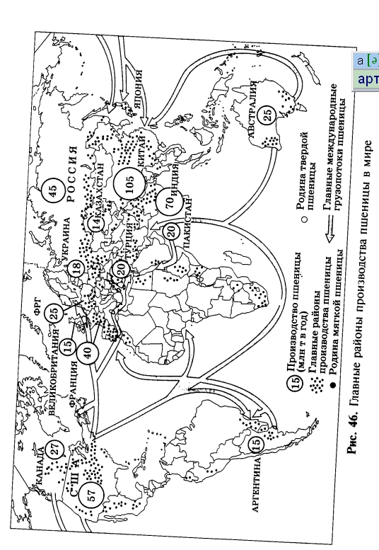 Главные районы производства пшеницы в мире