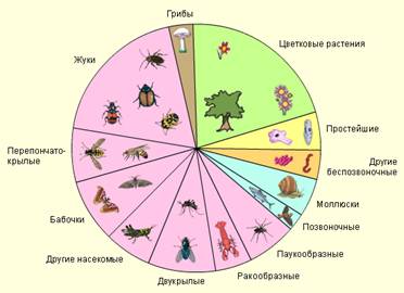 На частку членистоногих доводиться більше видів, ніж на решту всіх типів тварин