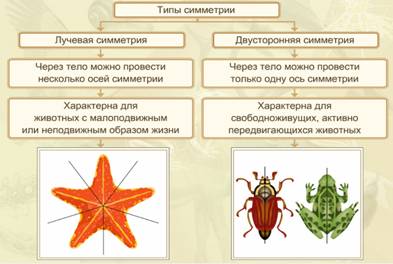 Типи симетрії.