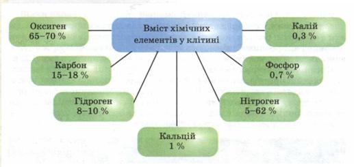 Вміст хімічних елементів у клітині фото