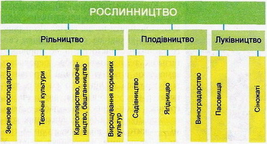 Галузевий склад рослинництва