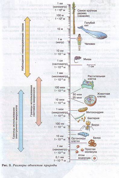 Размеры объектов природы