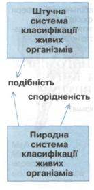 Системи класифікацій