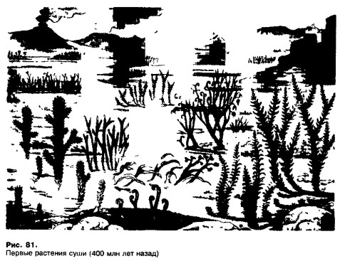 1001-40.jpg