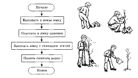 Алгоритм