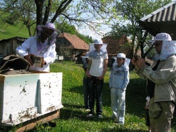 Бджільництво