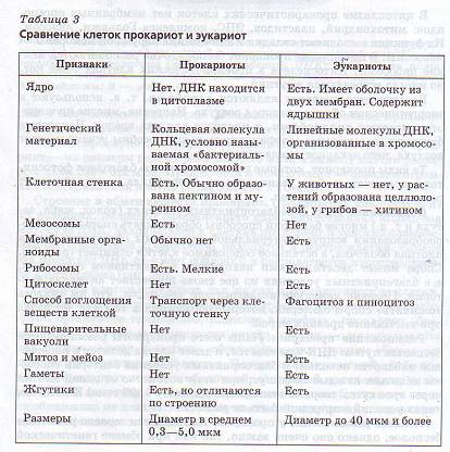 Сравнение прокариотических и эукариотических клеток