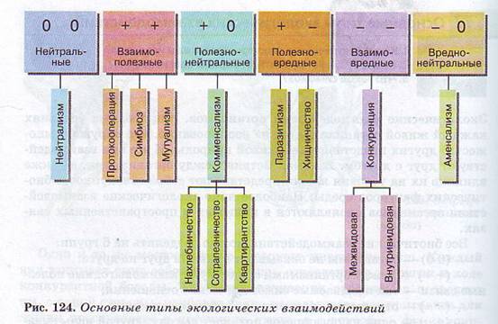 Типы экологических взаимодействий