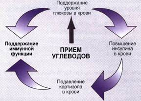 Важливі функції вуглеводів