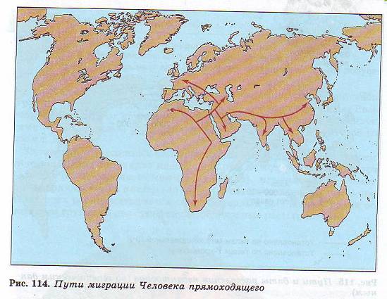 Пути миграции человека