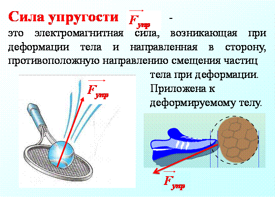 Fizr7 14 5.gif