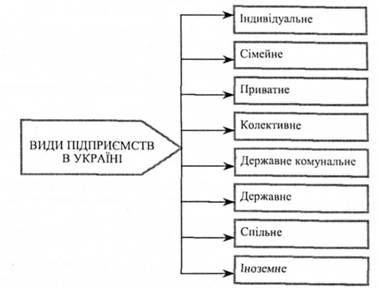 Види підприємств в Україні