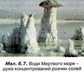Води Мертвого моря. фото