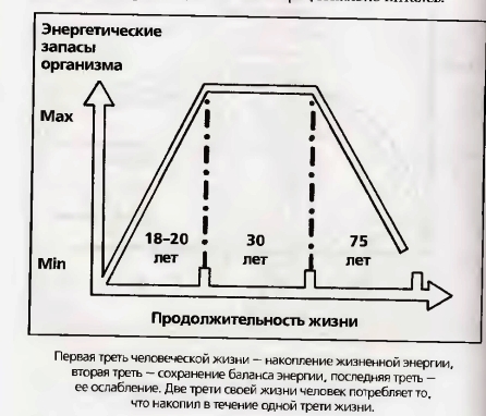 график человеческой жизни