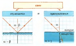 Свет