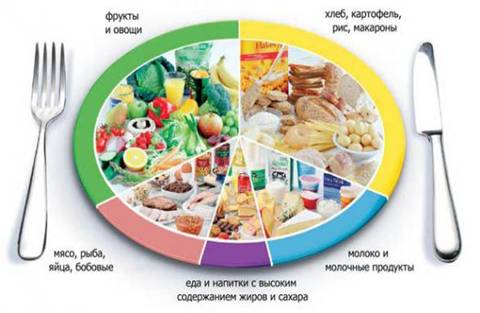 Білки+жири+вуглеводи=красота та здоров`я