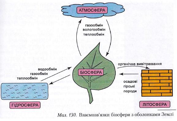 Взаємозвязки біосфери з оболонками Землі