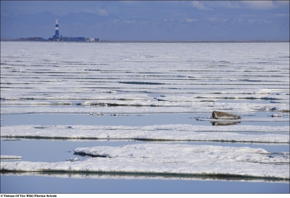 Море Бофорта