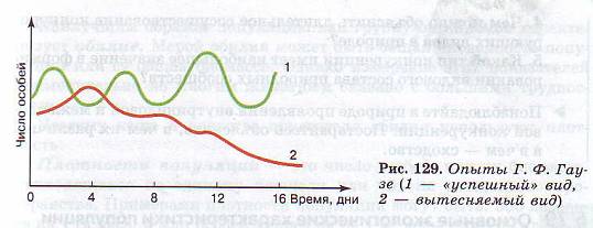 Принцип Гаузе