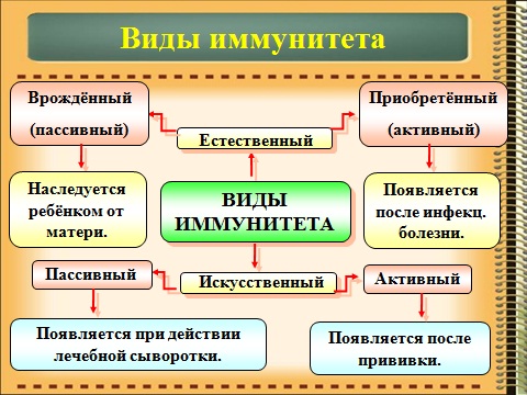 Виды иммунитета