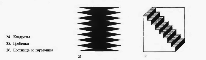 28-02-6.jpg
