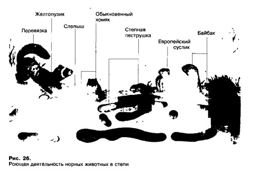 0901-18.jpg